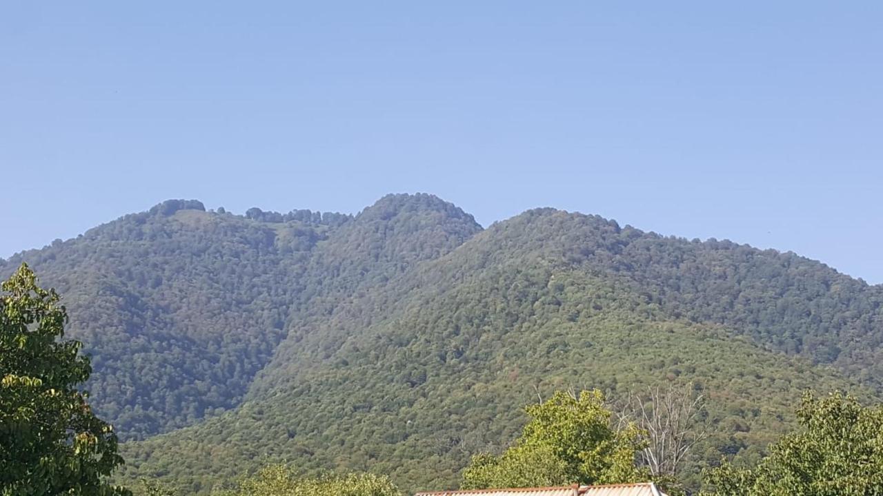Viva Hotel Gabala With Sauna, Pool, Waterfall And Fireplace Bagian luar foto